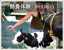 酪農体験 2012.08.11
